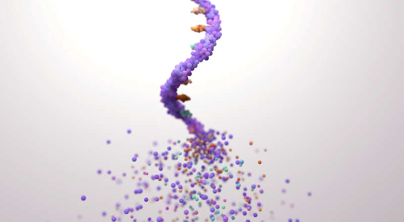 A strand of RNA assembling itself